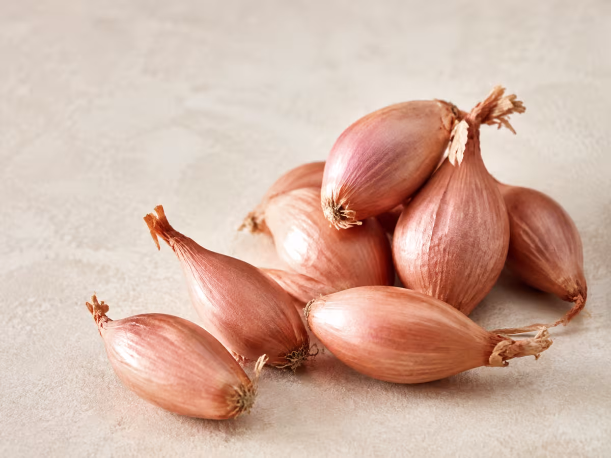 Bulbo arom&aacute;tico de sabor m&aacute;s fino y dulce que la cebolla.