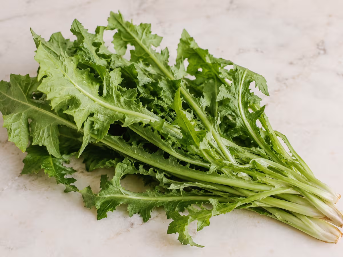 Chicory greens as a cooking ingredient