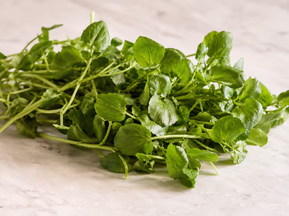 Watercress as a cooking ingredient