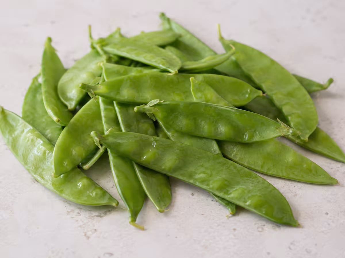 Ingrediente: Bisaltos