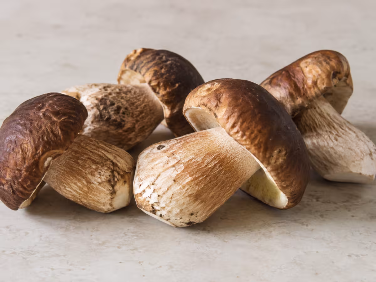 Ingrediente: Boletus