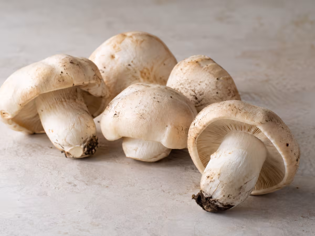 Ingrediente: Perretxikos