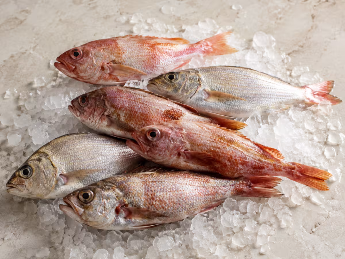 A mix of flavourful bony fish, ideal for rich stocks.