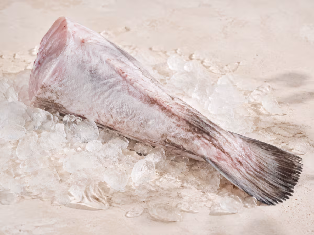 A lean white fish with firm flesh and few small bones.
