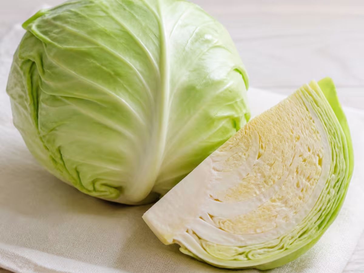Col compacta de hojas p&aacute;lidas y crujientes, adecuada para ensaladas, salteados y rellenos.