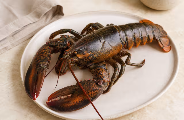 Bogavante