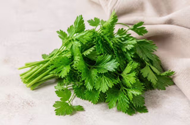 Ingrediente salm&oacute;n al lim&oacute;n: Perejil