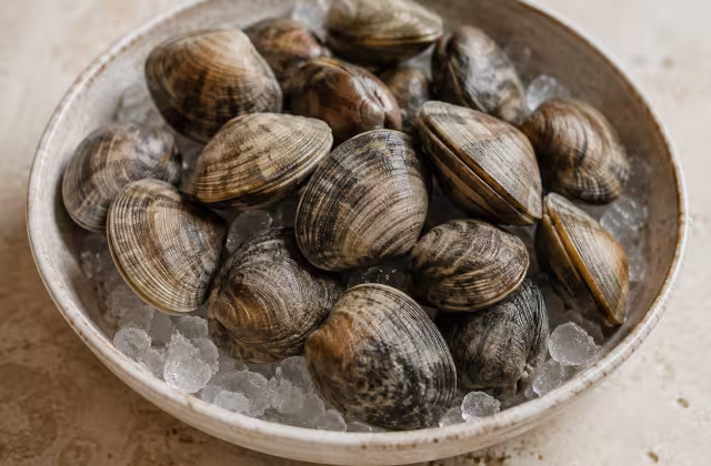 Fresh clams with closed shells and delicate briny flesh.