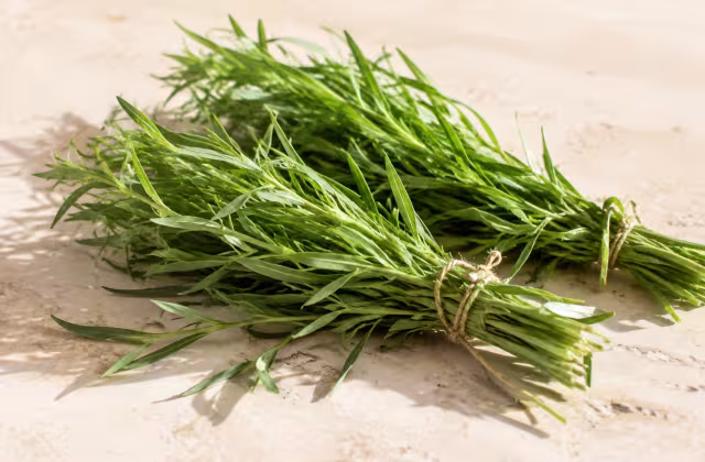 An aromatic herb with fresh aniseed notes.