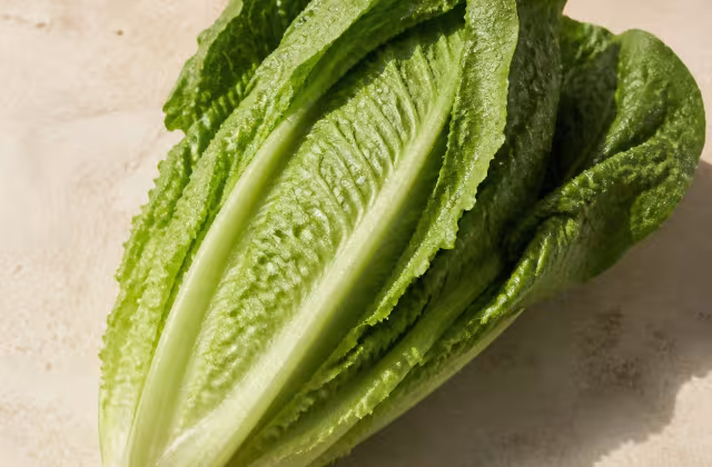 Lettuce as an ingredient