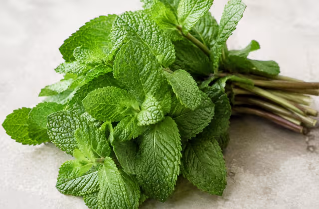 Hierba fresca muy aromática, de notas verdes y refrescantes.