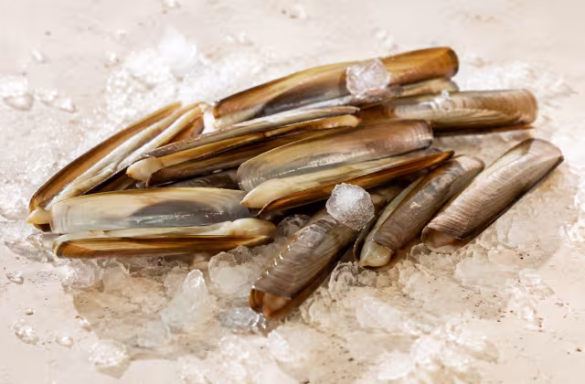 Long shellfish with clean briny flavour requiring brief cooking.