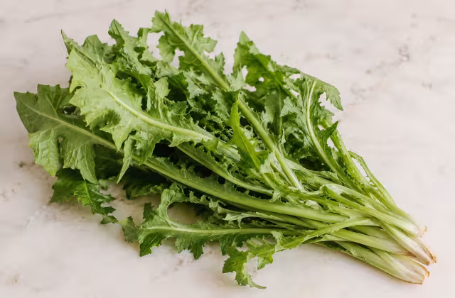 Chicory greens as a cooking ingredient