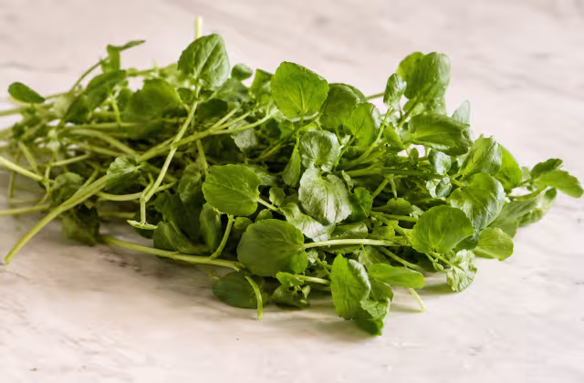 Watercress as a cooking ingredient