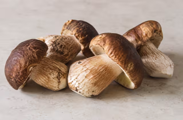 Ingrediente: Boletus