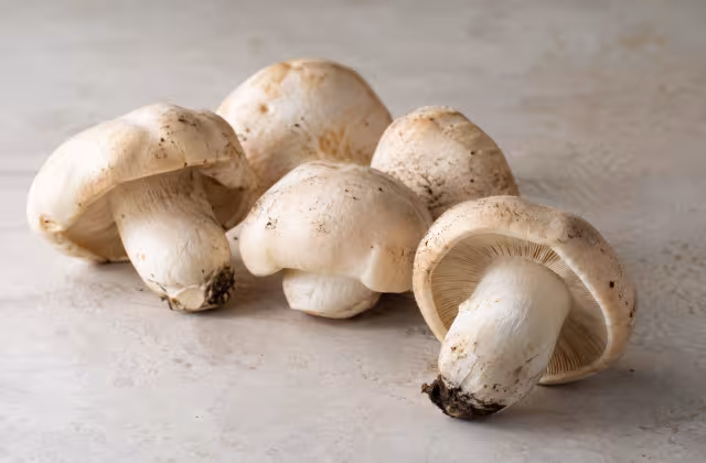 Ingrediente: Perretxikos