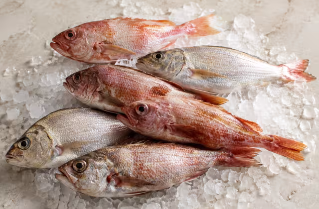 Conjunto de pescados de carne sabrosa y espinas gelatinosas, ideal para caldos.