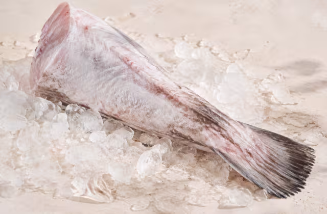 A lean white fish with firm flesh and few small bones.