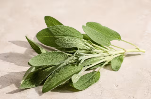 Hierba arom&aacute;tica de notas resinosas que combina bien con calabaza y mantequilla.